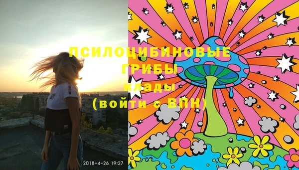 PSILOCYBIN Сафоново
