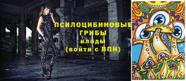 СК Алексеевка